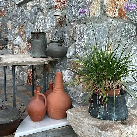 Amos Sea View Villa *