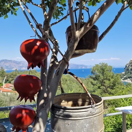 Amos Sea View Villa Marmaris