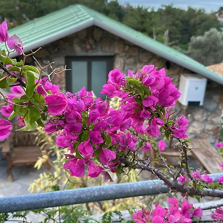 Amos Sea View * 马尔马里斯